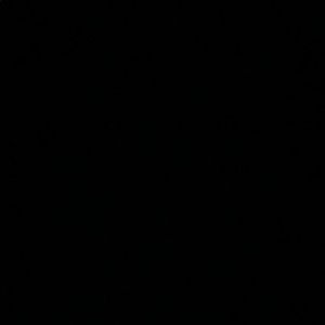 Meet your Posher, Celeste